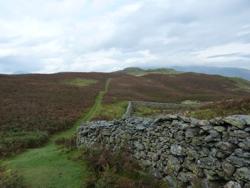 High Rigg